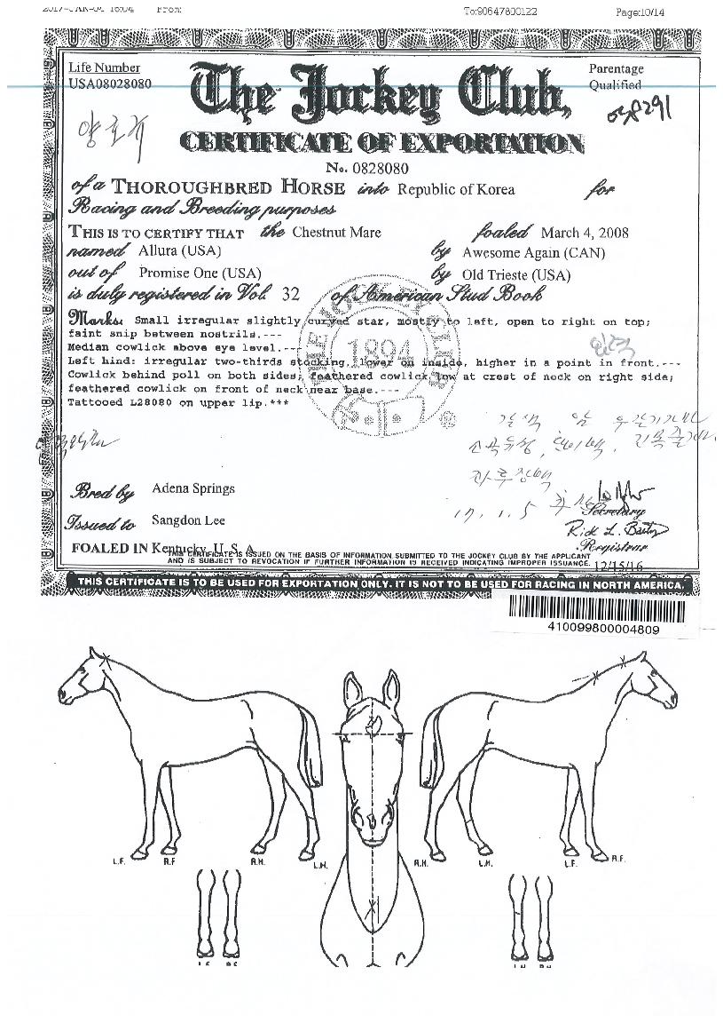 �˷���� ����,���,�޸�,�λ�,�ٸ��� Ư¡����