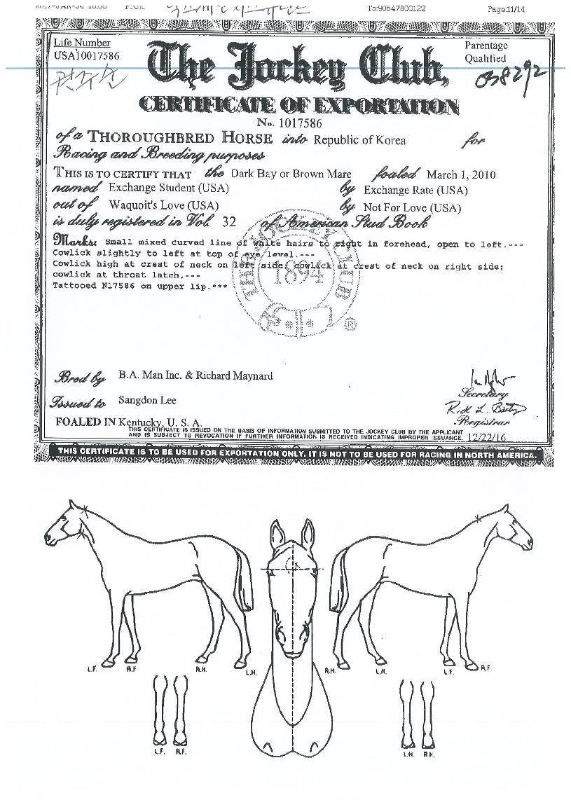 �ͽ�ü������Ʃ���� ����,���,�޸�,�λ�,�ٸ��� Ư¡����