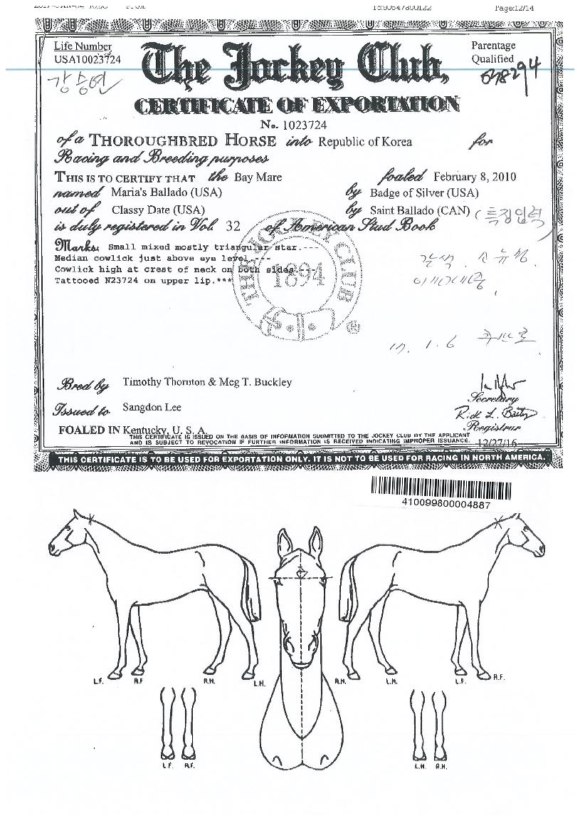 ¸¶¸®¾ÆÁî¹ß¶óµµÀÇ Ãø¸é,¿ì¸é,µÞ¸é,µÎ»ó,´Ù¸®ÀÇ Æ¯Â¡µµÇØ