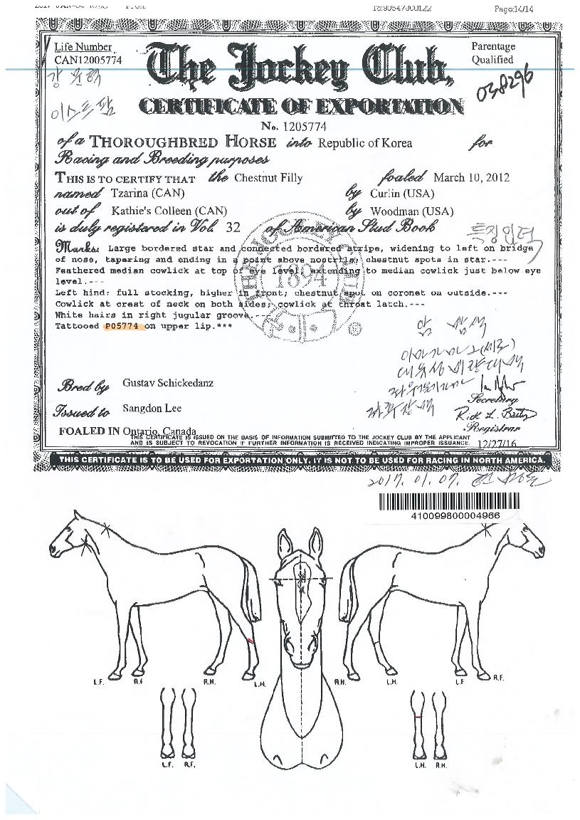 ƼÀÚ¸®³ªÀÇ Ãø¸é,¿ì¸é,µÞ¸é,µÎ»ó,´Ù¸®ÀÇ Æ¯Â¡µµÇØ