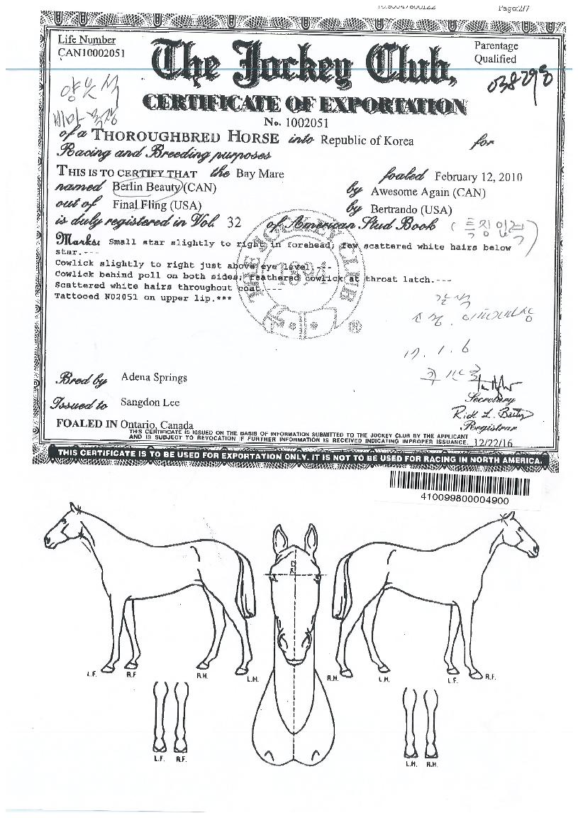 ��������Ƽ�� ����,���,�޸�,�λ�,�ٸ��� Ư¡����