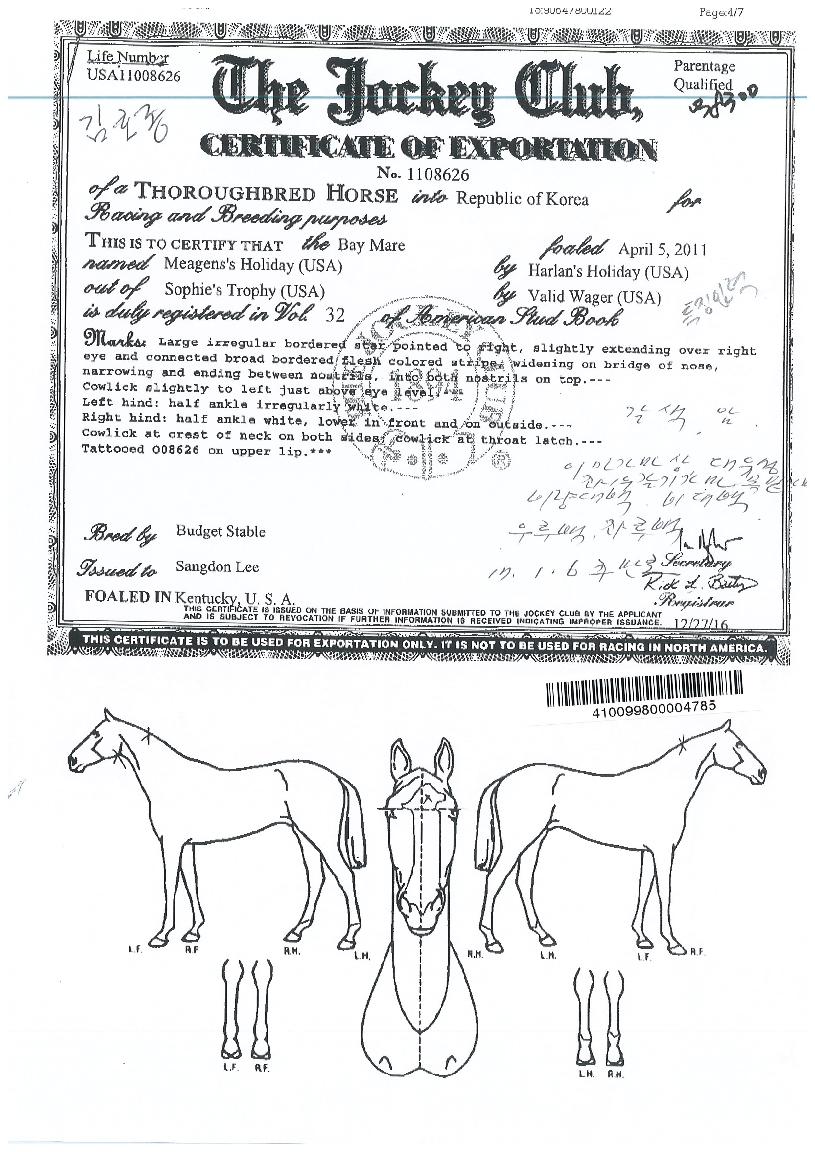 ¸Þ±äÁîȦ¸®µ¥ÀÌÀÇ Ãø¸é,¿ì¸é,µÞ¸é,µÎ»ó,´Ù¸®ÀÇ Æ¯Â¡µµÇØ