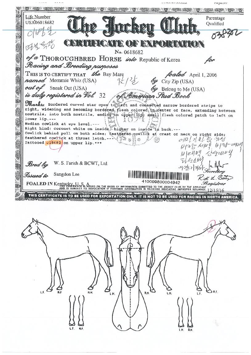 ���������� ����,���,�޸�,�λ�,�ٸ��� Ư¡����