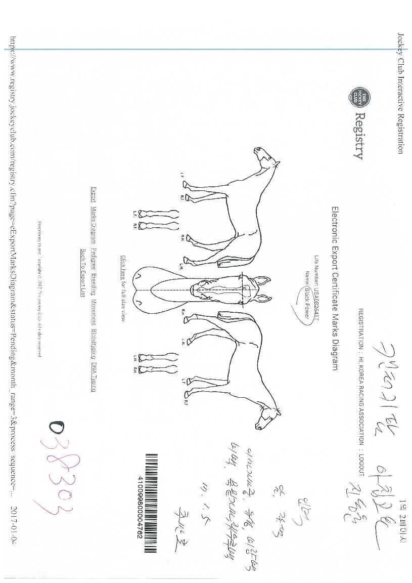 ºí·¢ÆÄ¿ö¥±ÀÇ Ãø¸é,¿ì¸é,µÞ¸é,µÎ»ó,´Ù¸®ÀÇ Æ¯Â¡µµÇØ