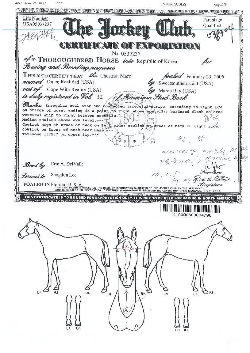 �Ѽ����˸��ٵ��� ����,���,�޸�,�λ�,�ٸ��� Ư¡����