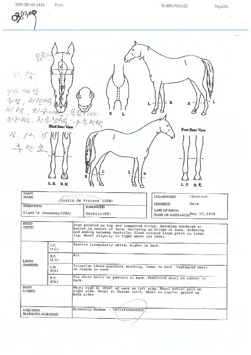 �𸮽������������� ����,���,�޸�,�λ�,�ٸ��� Ư¡����