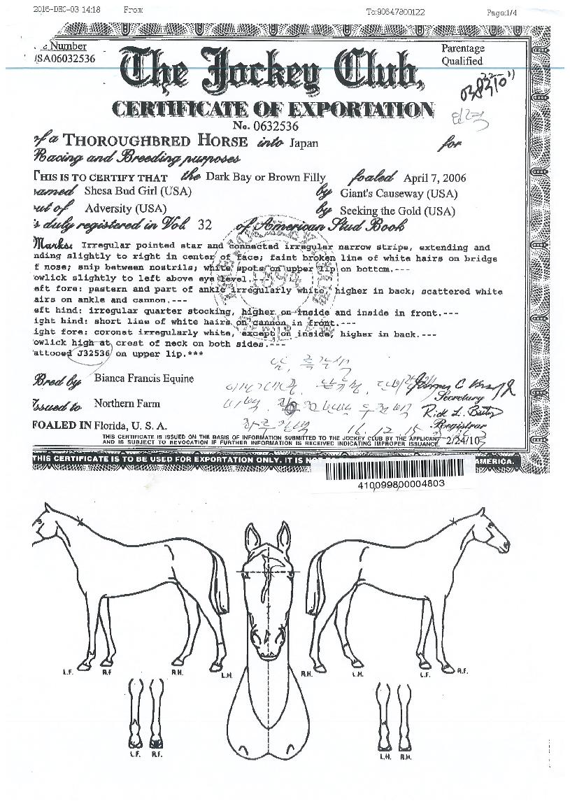 ����������� ����,���,�޸�,�λ�,�ٸ��� Ư¡����