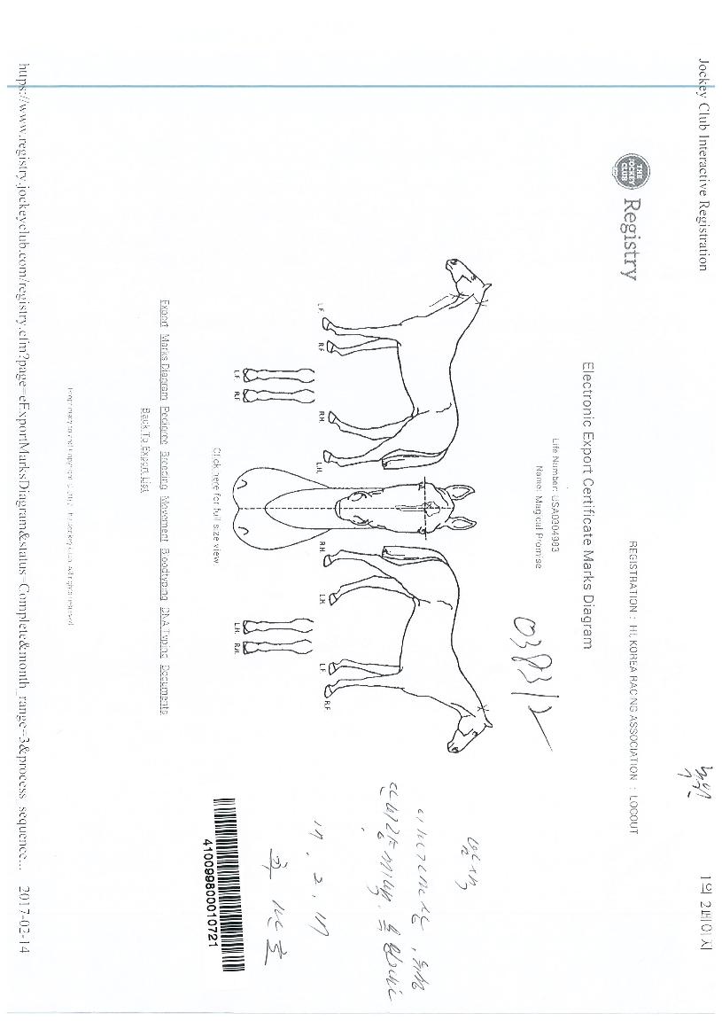 ¸ÅÁöÄÃÇÁ·Î¹Ì½ºÀÇ Ãø¸é,¿ì¸é,µÞ¸é,µÎ»ó,´Ù¸®ÀÇ Æ¯Â¡µµÇØ