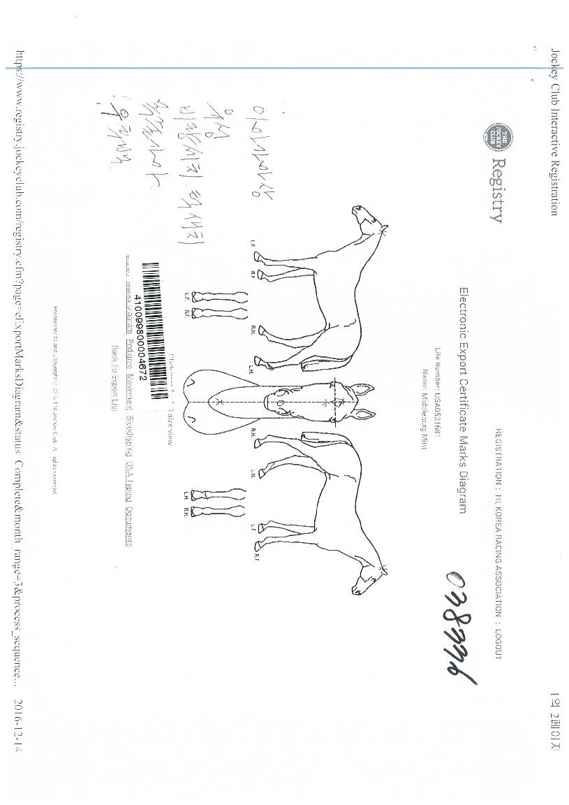 �̵���׹�Ʈ�� ����,���,�޸�,�λ�,�ٸ��� Ư¡����