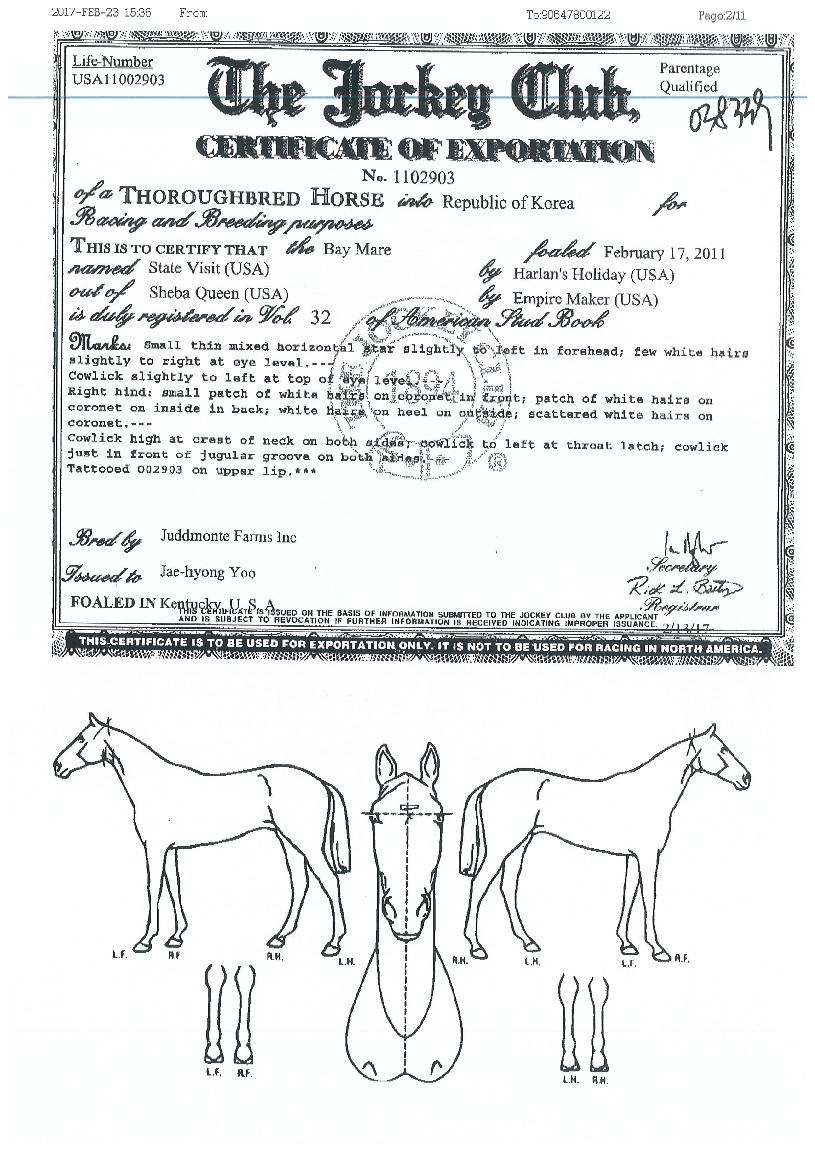 ½ºÅ×ÀÌÆ®ºñÁöÆ®ÀÇ Ãø¸é,¿ì¸é,µÞ¸é,µÎ»ó,´Ù¸®ÀÇ Æ¯Â¡µµÇØ