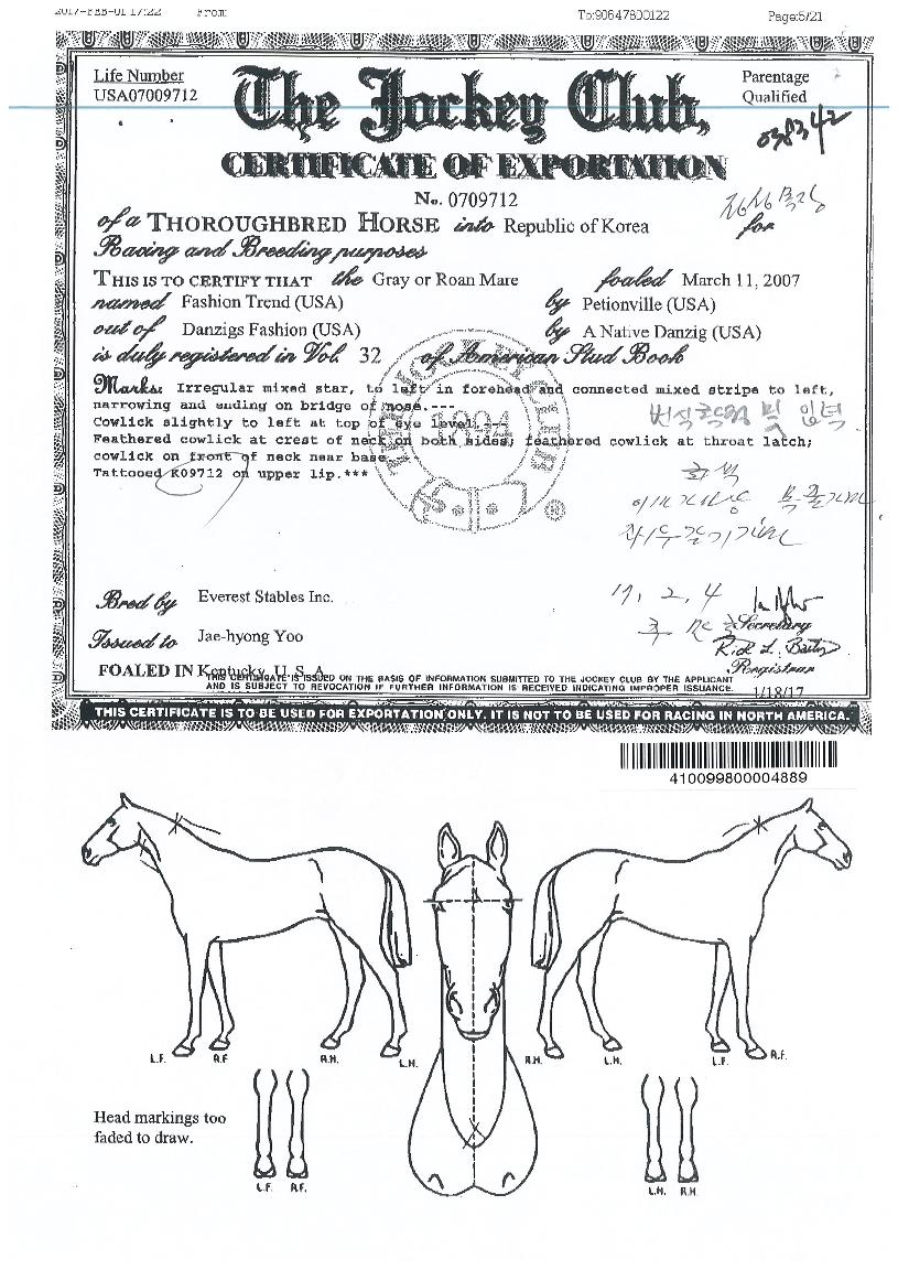 �м�Ʈ������ ����,���,�޸�,�λ�,�ٸ��� Ư¡����