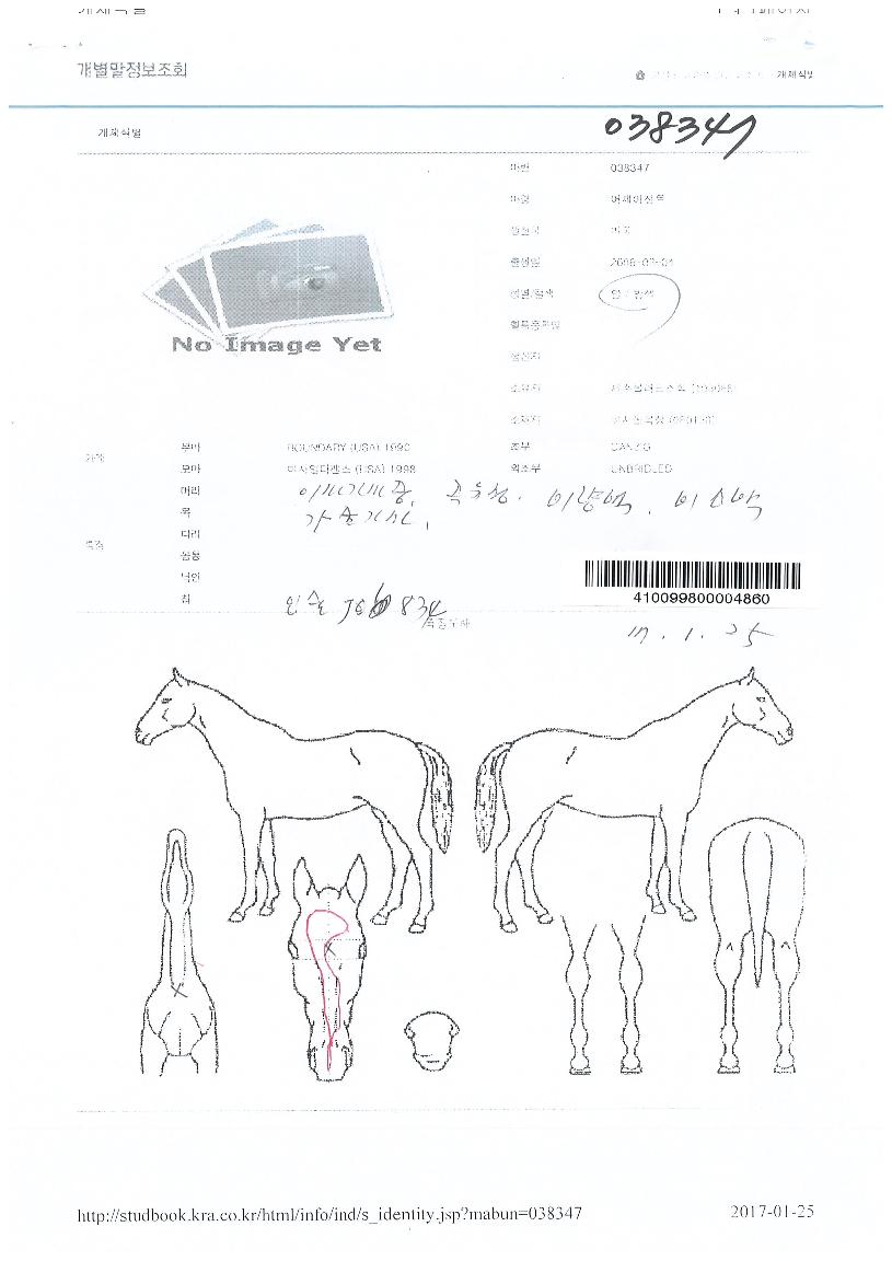 �����̼�Ʈ�� ����,���,�޸�,�λ�,�ٸ��� Ư¡����