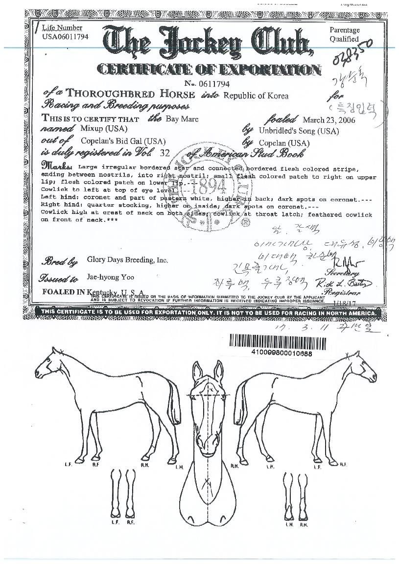 �ͽ����� ����,���,�޸�,�λ�,�ٸ��� Ư¡����