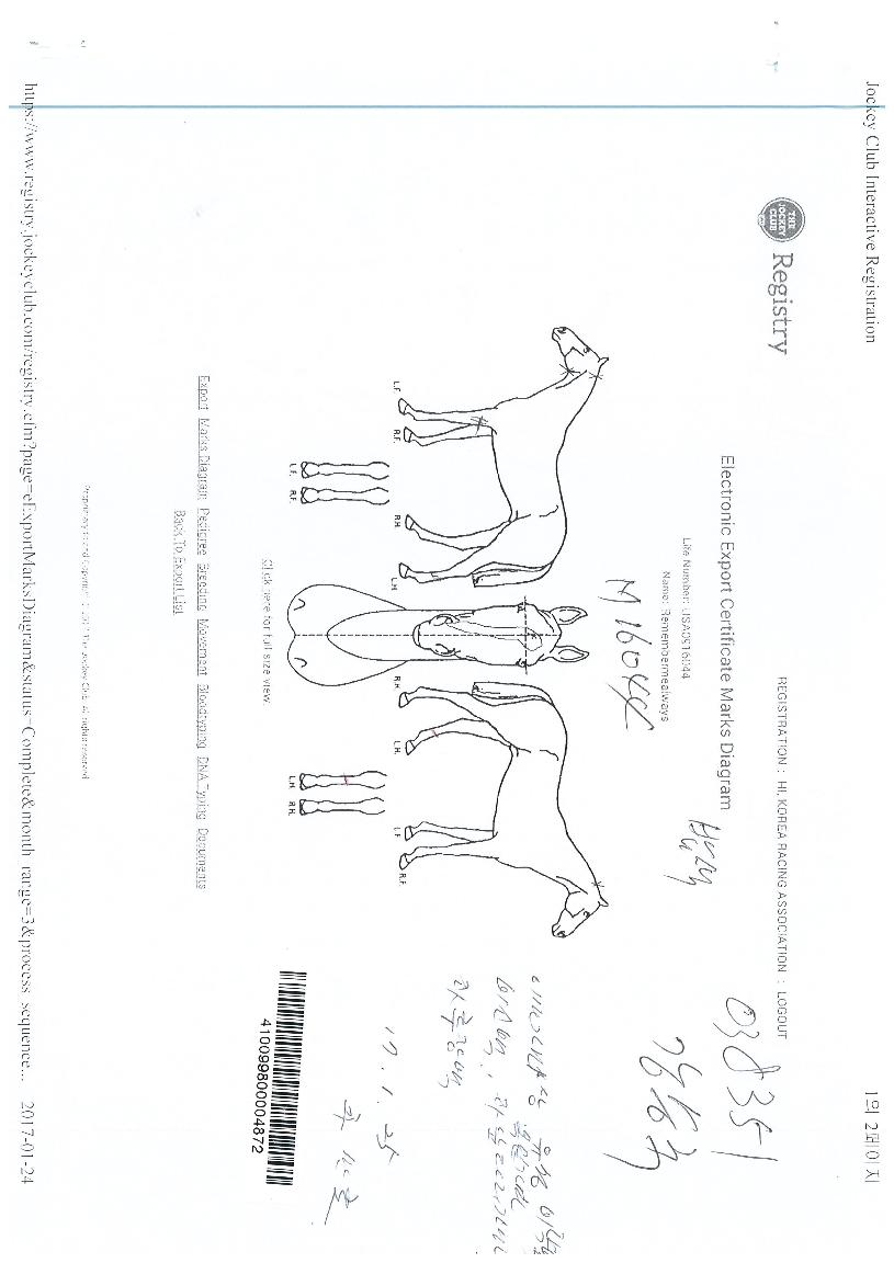 ������̿ÿ������� ����,���,�޸�,�λ�,�ٸ��� Ư¡����