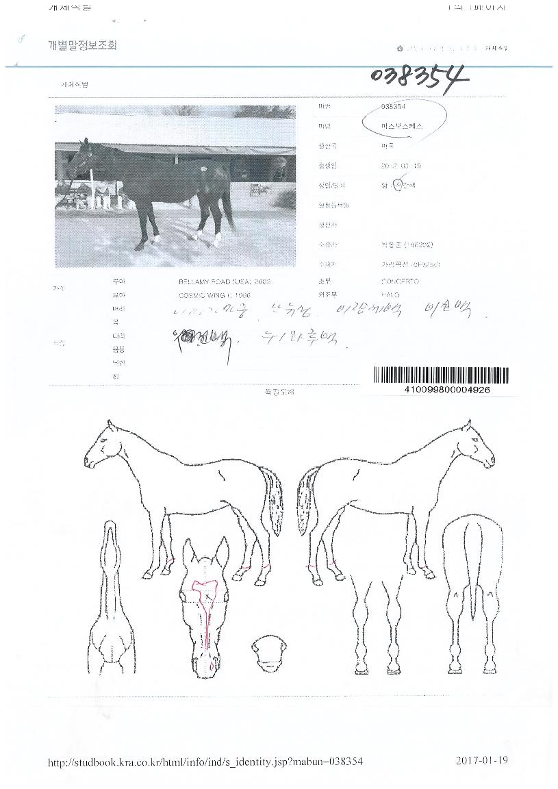 ¹Ì½ºº¸½ºÄɽºÀÇ Ãø¸é,¿ì¸é,µÞ¸é,µÎ»ó,´Ù¸®ÀÇ Æ¯Â¡µµÇØ