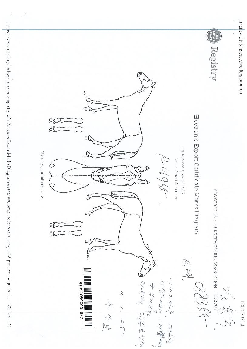 ½º¸¶Æ®¾îÆ®·¢¼ÇÀÇ Ãø¸é,¿ì¸é,µÞ¸é,µÎ»ó,´Ù¸®ÀÇ Æ¯Â¡µµÇØ