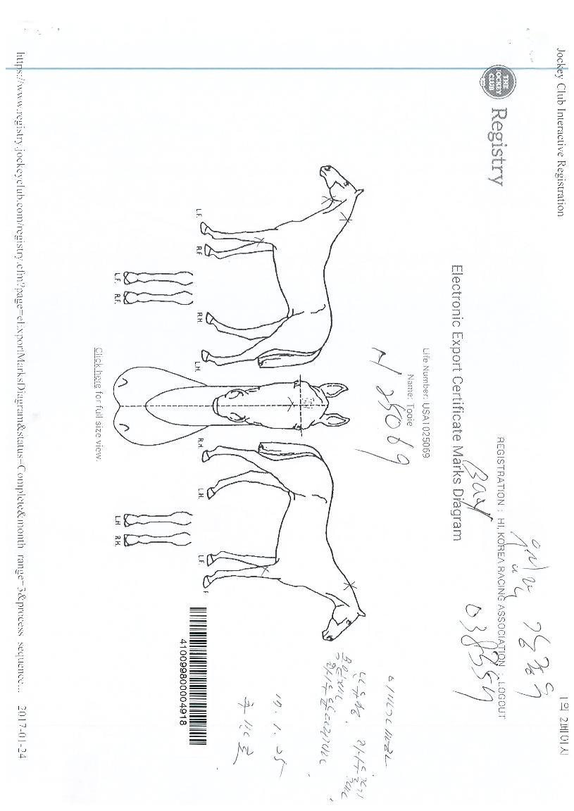 ������ ����,���,�޸�,�λ�,�ٸ��� Ư¡����