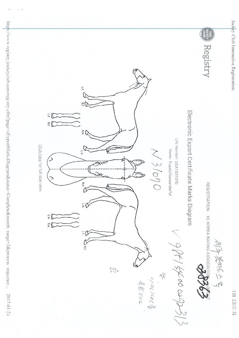 ÈÄ»çÀÌÄ¡½º¿ø´õÇ®ÀÇ Ãø¸é,¿ì¸é,µÞ¸é,µÎ»ó,´Ù¸®ÀÇ Æ¯Â¡µµÇØ