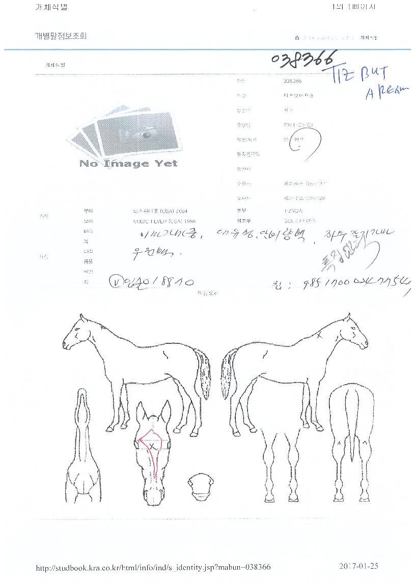 Ƽ�����帲�� ����,���,�޸�,�λ�,�ٸ��� Ư¡����