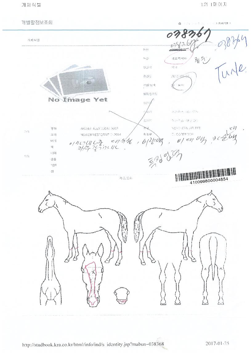 Æ©¿îÀÇ Ãø¸é,¿ì¸é,µÞ¸é,µÎ»ó,´Ù¸®ÀÇ Æ¯Â¡µµÇØ