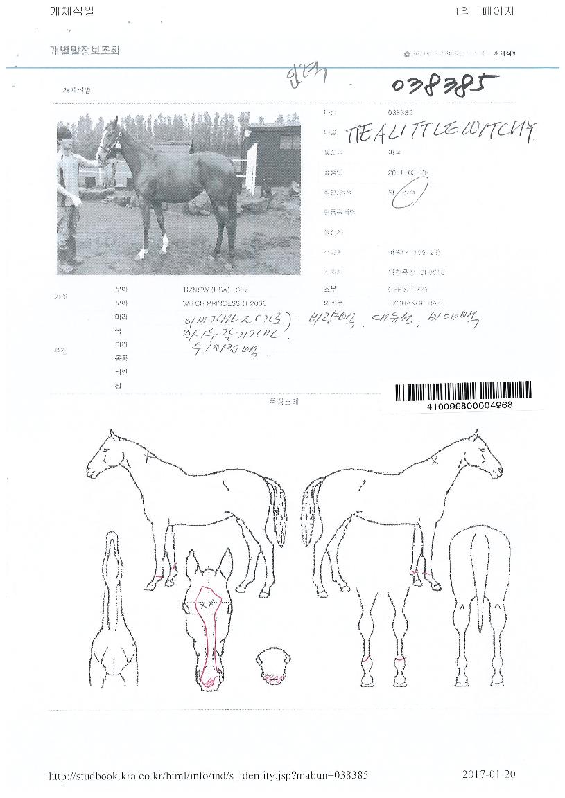 Ƽ��Ʋ��ġ�� ����,���,�޸�,�λ�,�ٸ��� Ư¡����