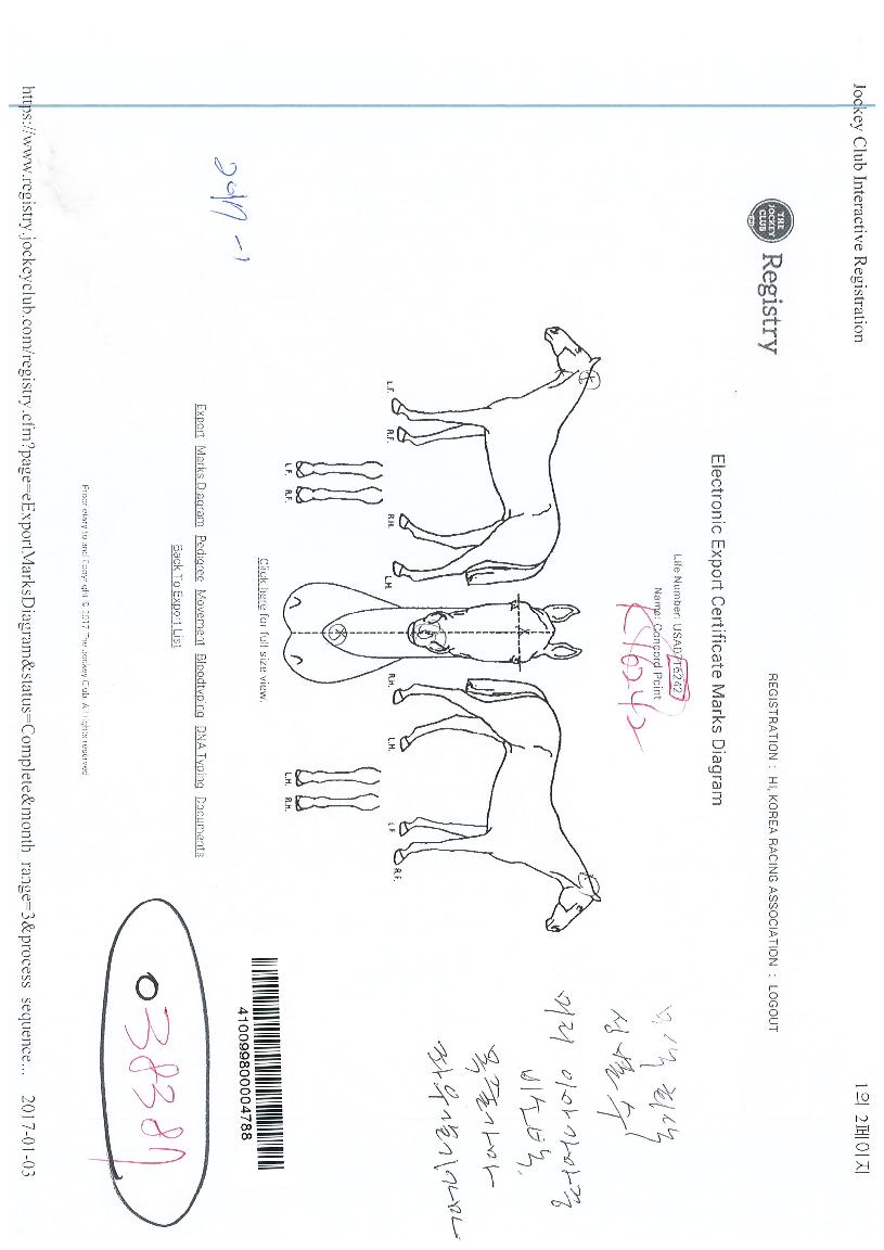 ���ڵ�����Ʈ�� ����,���,�޸�,�λ�,�ٸ��� Ư¡����