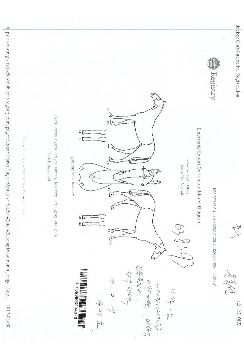 �۽�Ʈ��Ʈ���̾��� ����,���,�޸�,�λ�,�ٸ��� Ư¡����