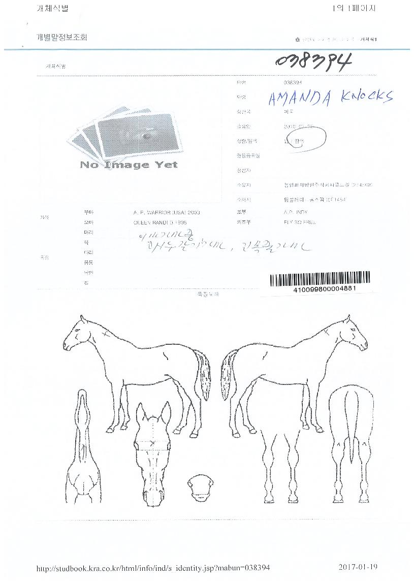 ��Ǵٳ콺�� ����,���,�޸�,�λ�,�ٸ��� Ư¡����