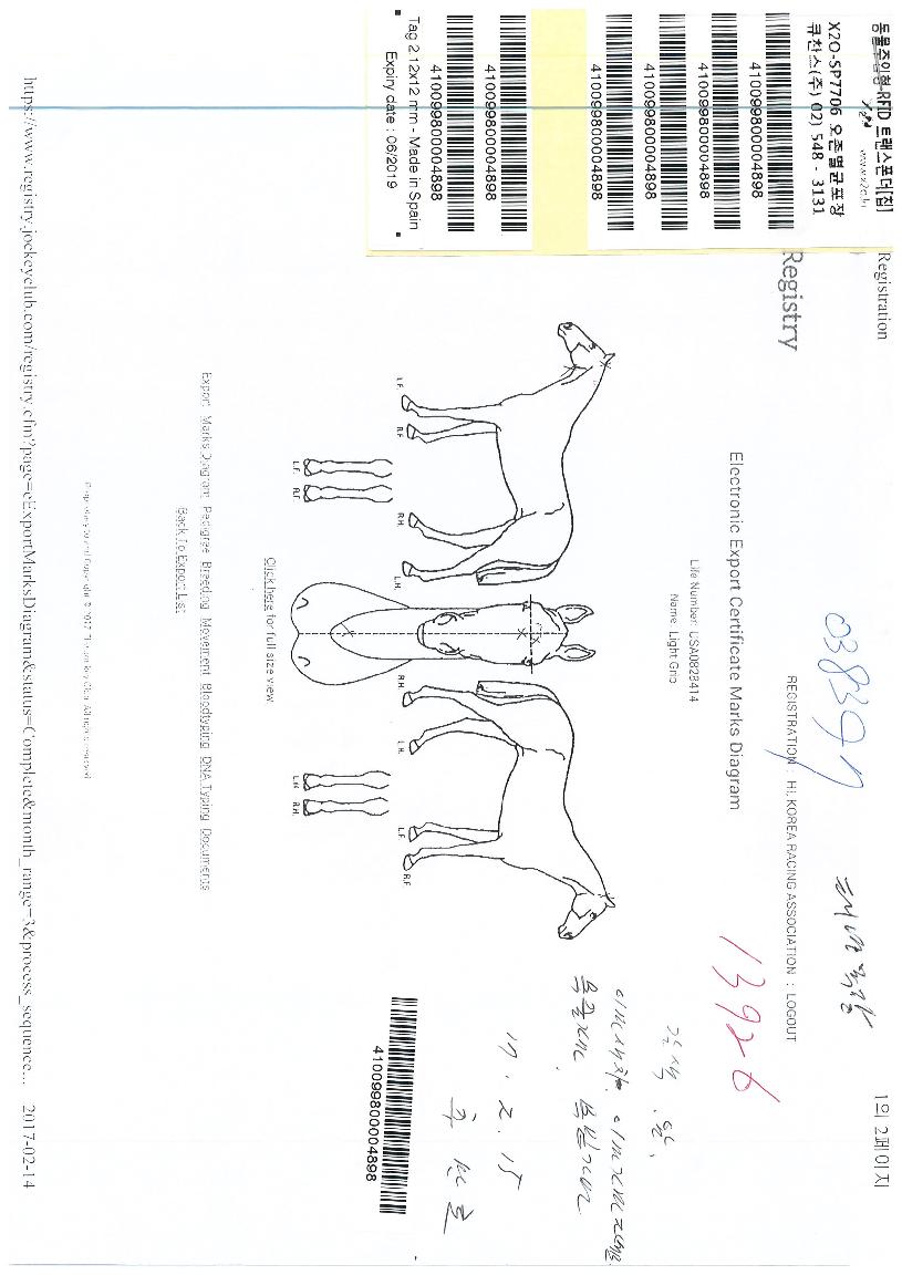 ����Ʈ�׸��� ����,���,�޸�,�λ�,�ٸ��� Ư¡����