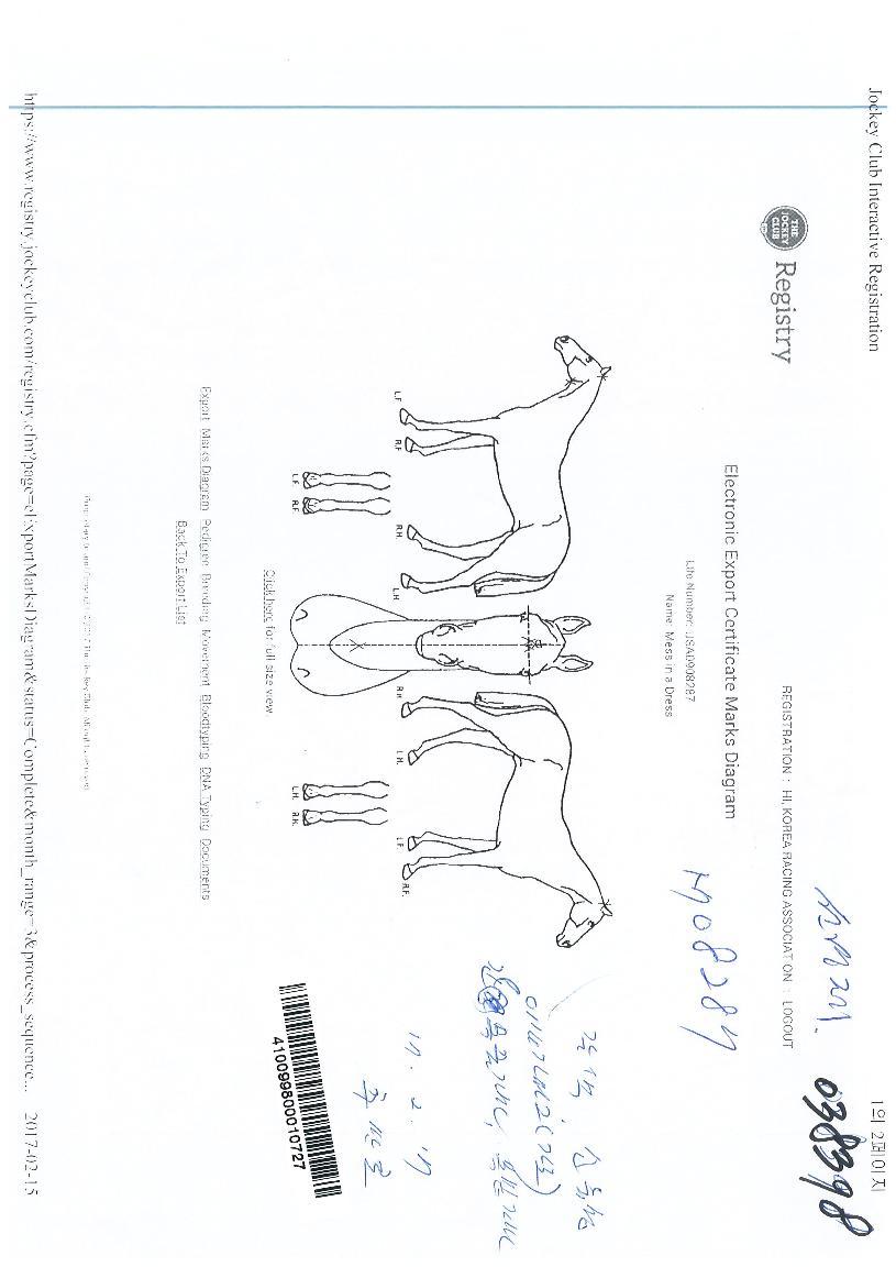 �޽��ξ�巹���� ����,���,�޸�,�λ�,�ٸ��� Ư¡����