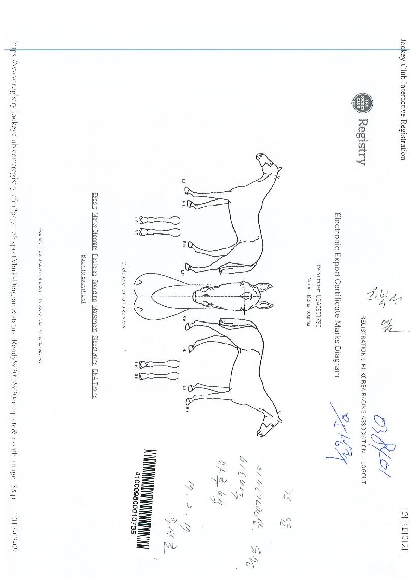 º§¶ó·¹Áö³ªÀÇ Ãø¸é,¿ì¸é,µÞ¸é,µÎ»ó,´Ù¸®ÀÇ Æ¯Â¡µµÇØ