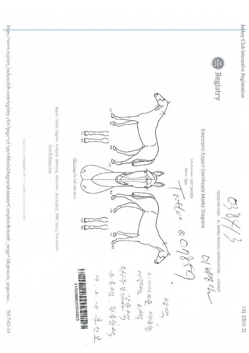 ½ºÇÉÀÇ Ãø¸é,¿ì¸é,µÞ¸é,µÎ»ó,´Ù¸®ÀÇ Æ¯Â¡µµÇØ