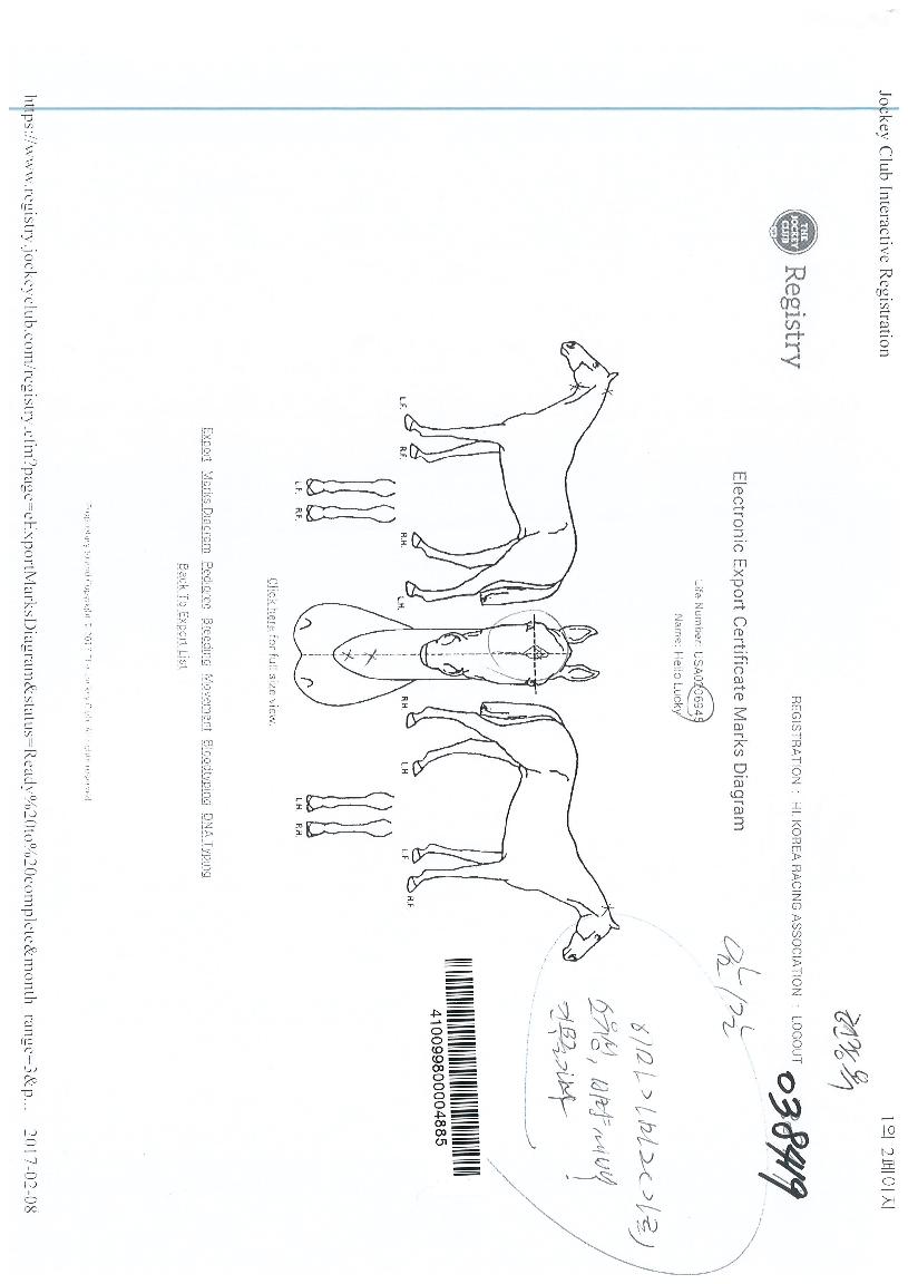 Çï·Î¿ì·°Å°ÀÇ Ãø¸é,¿ì¸é,µÞ¸é,µÎ»ó,´Ù¸®ÀÇ Æ¯Â¡µµÇØ