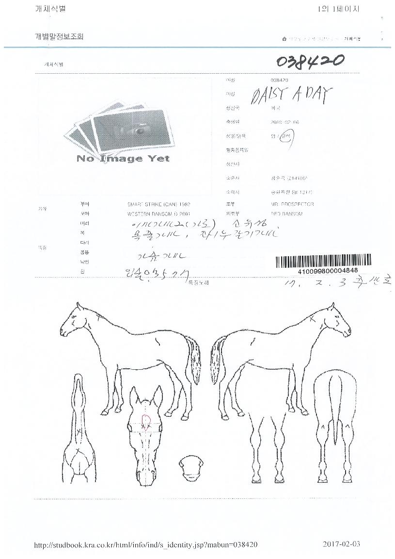 µ¥ÀÌÁö¾îµ¥ÀÌÀÇ Ãø¸é,¿ì¸é,µÞ¸é,µÎ»ó,´Ù¸®ÀÇ Æ¯Â¡µµÇØ