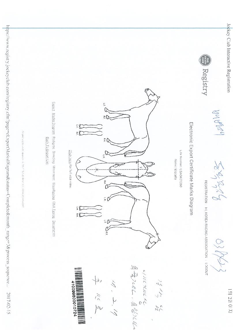 �𼿶��� ����,���,�޸�,�λ�,�ٸ��� Ư¡����