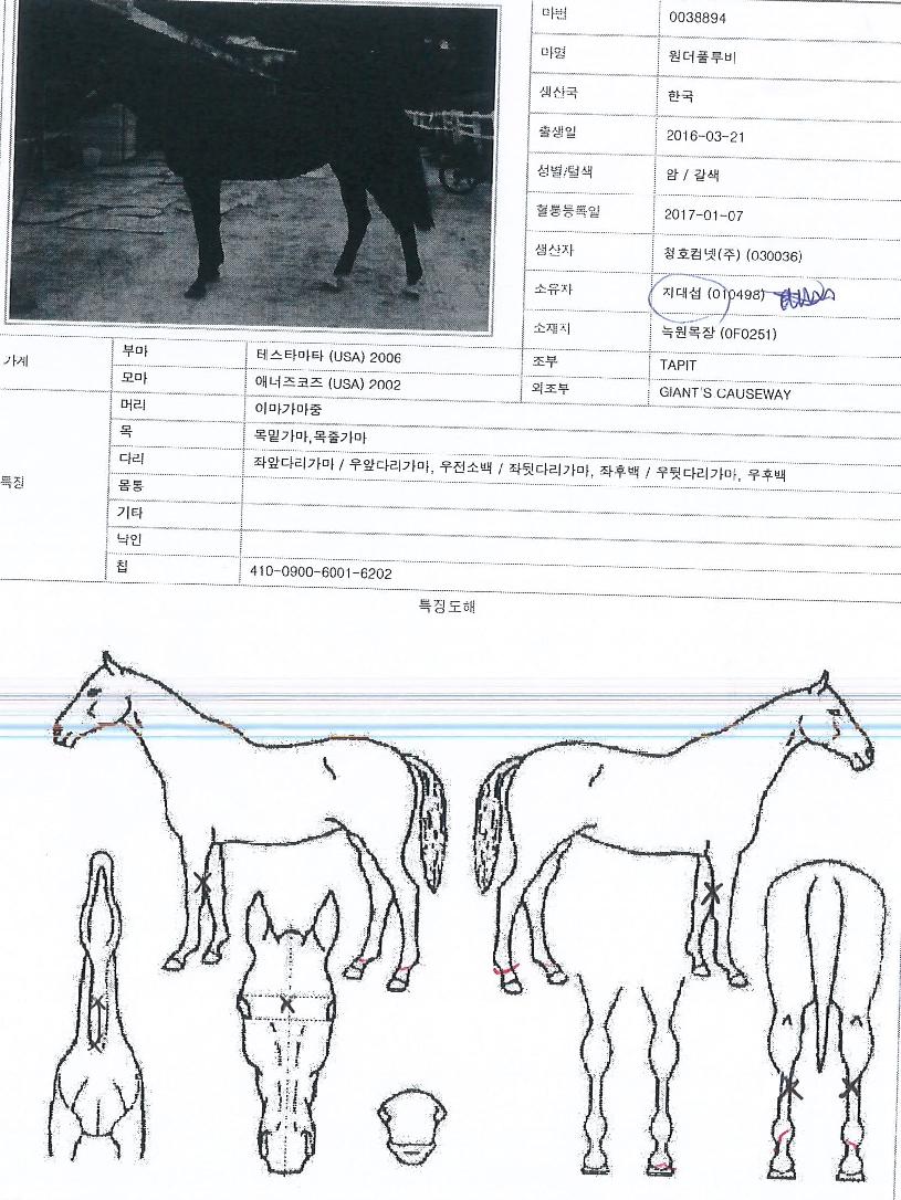 ����Ǯ����� ����,���,�޸�,�λ�,�ٸ��� Ư¡����