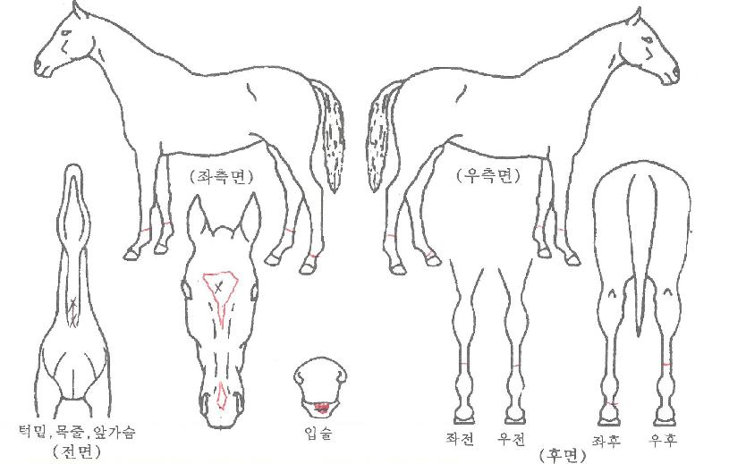 ����Ÿ�� ����,���,�޸�,�λ�,�ٸ��� Ư¡����