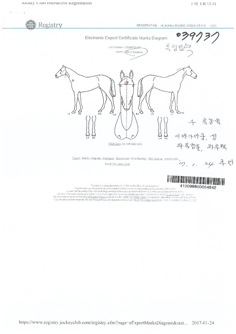 ���ø��ͽ��������� ����,���,�޸�,�λ�,�ٸ��� Ư¡����