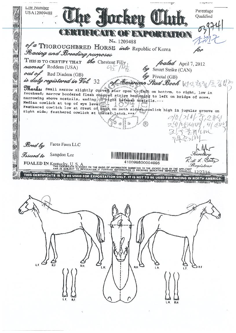 ·¹µåµ©ÀÇ Ãø¸é,¿ì¸é,µÞ¸é,µÎ»ó,´Ù¸®ÀÇ Æ¯Â¡µµÇØ