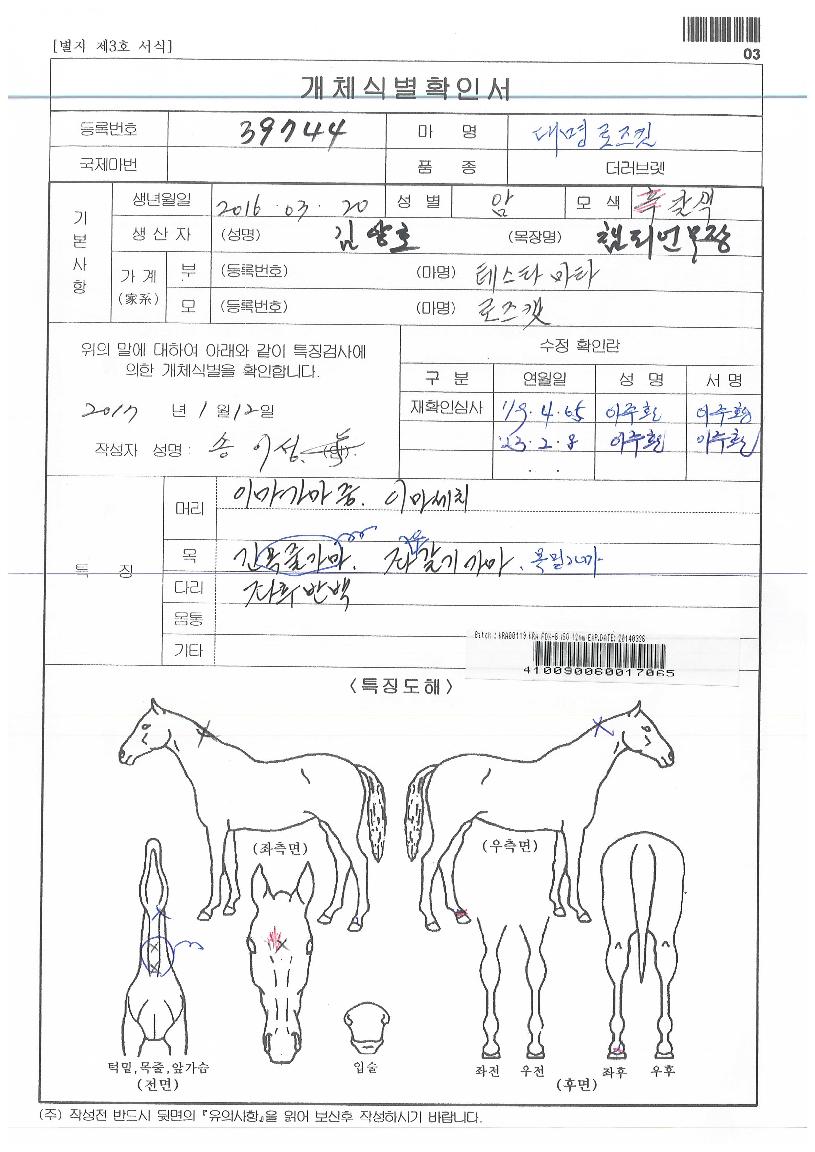 ´ë¸í·ÎÁîĹÀÇ Ãø¸é,¿ì¸é,µÞ¸é,µÎ»ó,´Ù¸®ÀÇ Æ¯Â¡µµÇØ