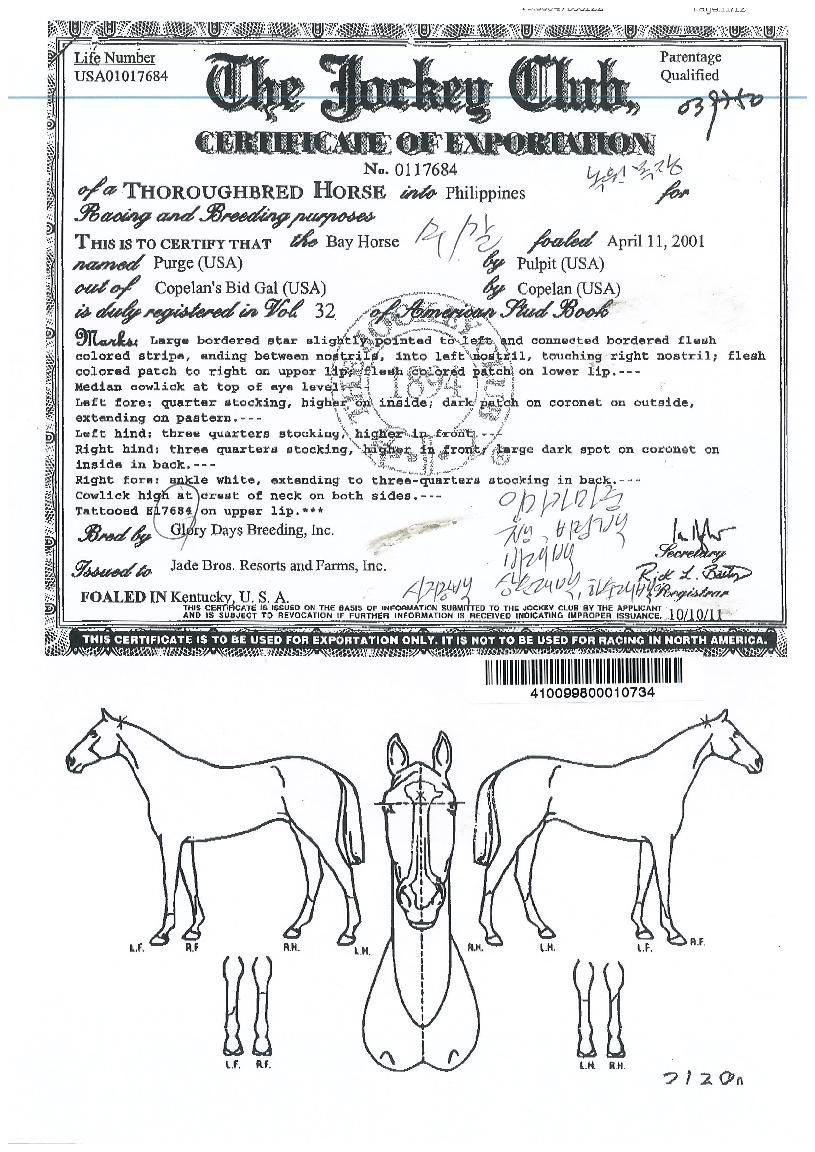 ������ ����,���,�޸�,�λ�,�ٸ��� Ư¡����