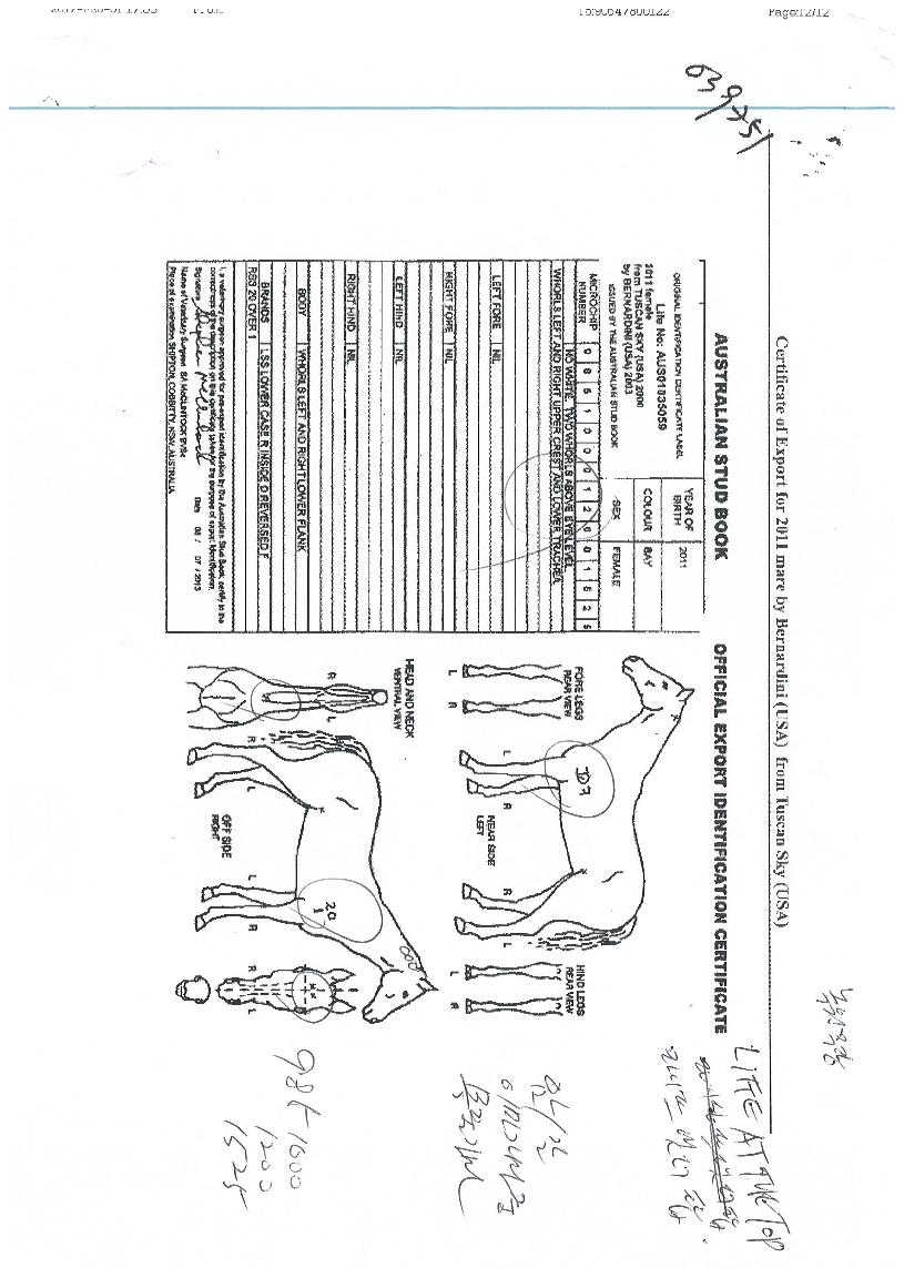 �������ܴ�ž�� ����,���,�޸�,�λ�,�ٸ��� Ư¡����