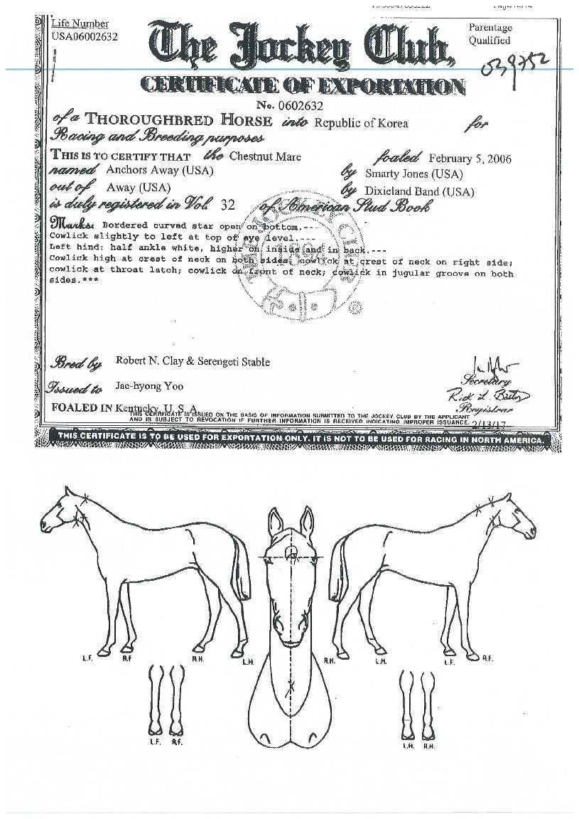 ¾ÞÄ¿Áî¾î¿þÀÌÀÇ Ãø¸é,¿ì¸é,µÞ¸é,µÎ»ó,´Ù¸®ÀÇ Æ¯Â¡µµÇØ