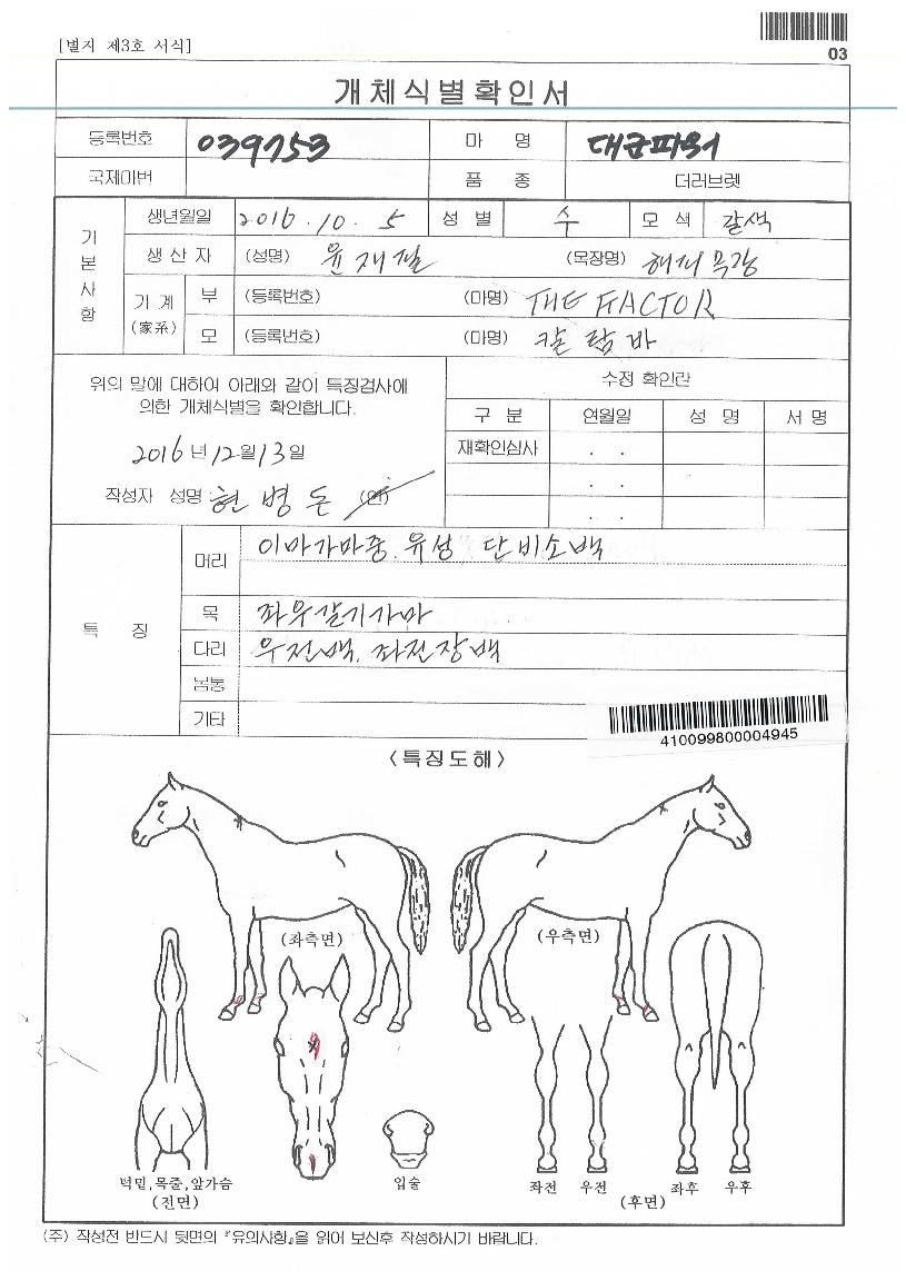 �뱺�Ŀ��� ����,���,�޸�,�λ�,�ٸ��� Ư¡����