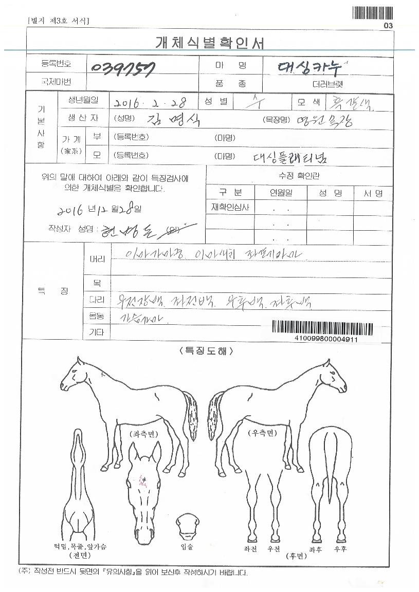 ´ë½ÌÄ«´©ÀÇ Ãø¸é,¿ì¸é,µÞ¸é,µÎ»ó,´Ù¸®ÀÇ Æ¯Â¡µµÇØ