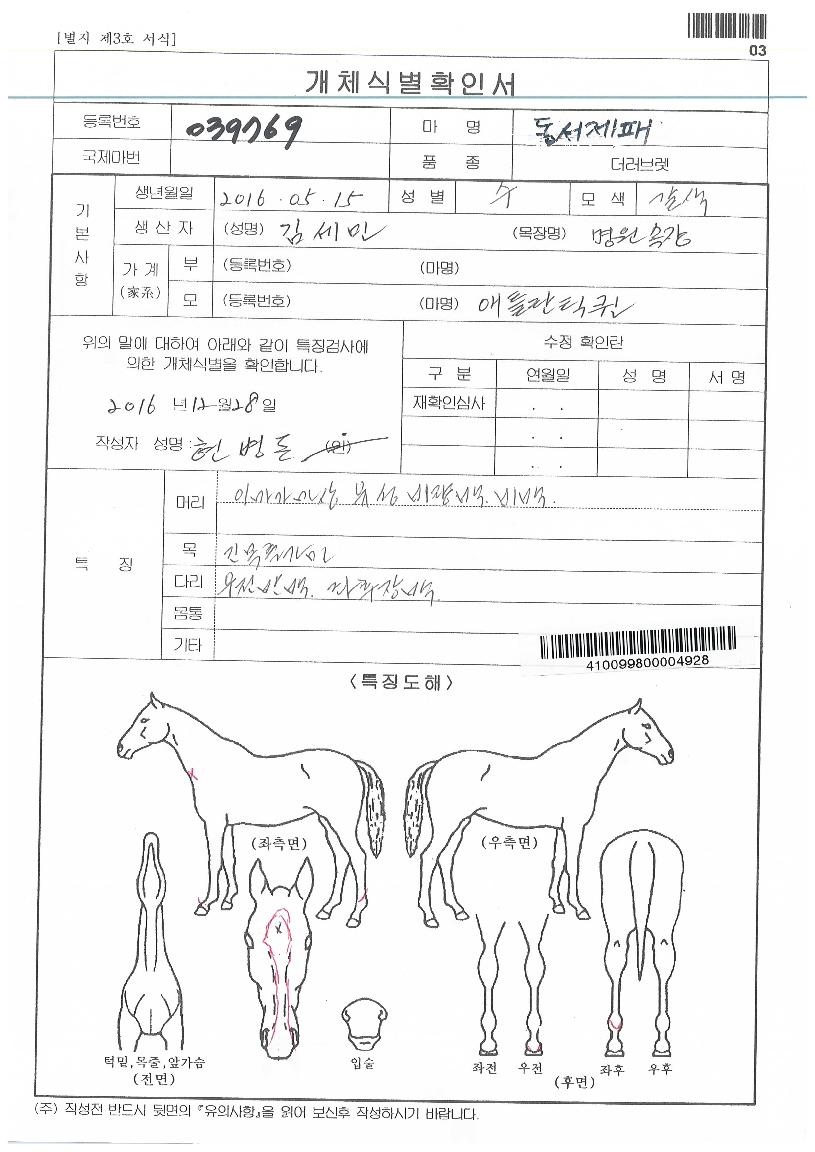 µ¿¼Á¦ÆÐÀÇ Ãø¸é,¿ì¸é,µÞ¸é,µÎ»ó,´Ù¸®ÀÇ Æ¯Â¡µµÇØ