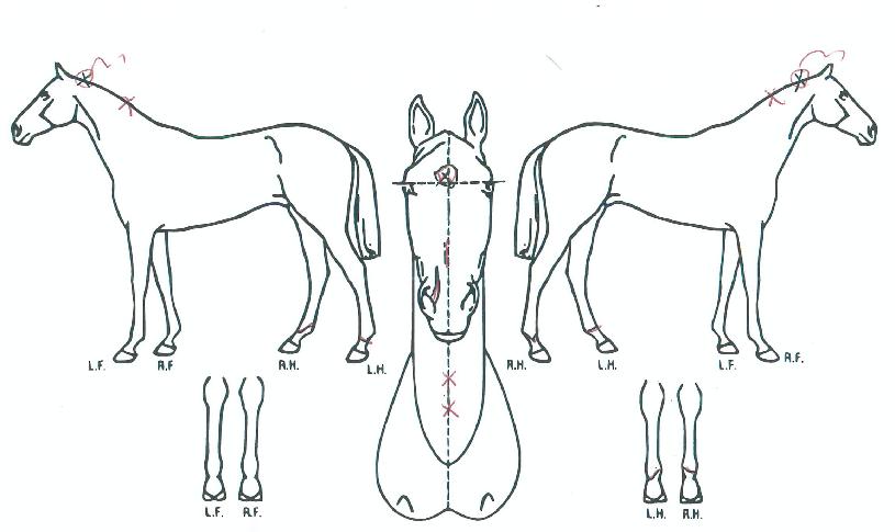 ����ġ���� ����,���,�޸�,�λ�,�ٸ��� Ư¡����