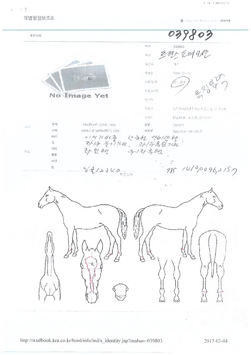 Æ®·£½ºÆÛ¸ÞÀ̼ÇÀÇ Ãø¸é,¿ì¸é,µÞ¸é,µÎ»ó,´Ù¸®ÀÇ Æ¯Â¡µµÇØ