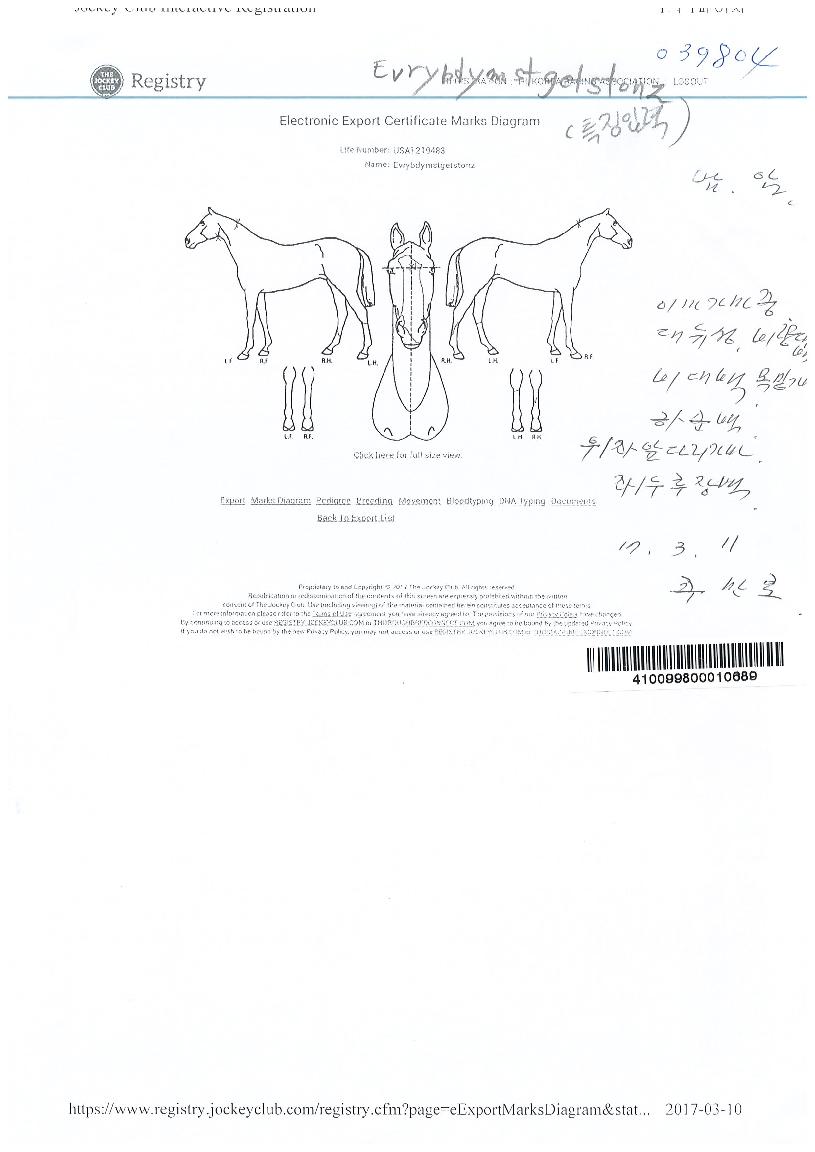 ¿¡ºê¸®¹Ùµð¸Ó½ºÆ®ÀÇ Ãø¸é,¿ì¸é,µÞ¸é,µÎ»ó,´Ù¸®ÀÇ Æ¯Â¡µµÇØ