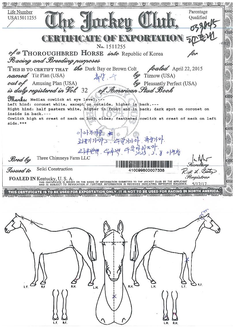 Ƽ���÷��� ����,���,�޸�,�λ�,�ٸ��� Ư¡����